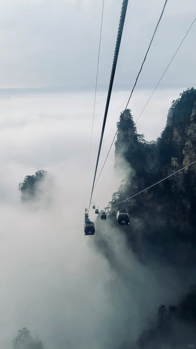 Tianmen Mountain weather and height check route photo