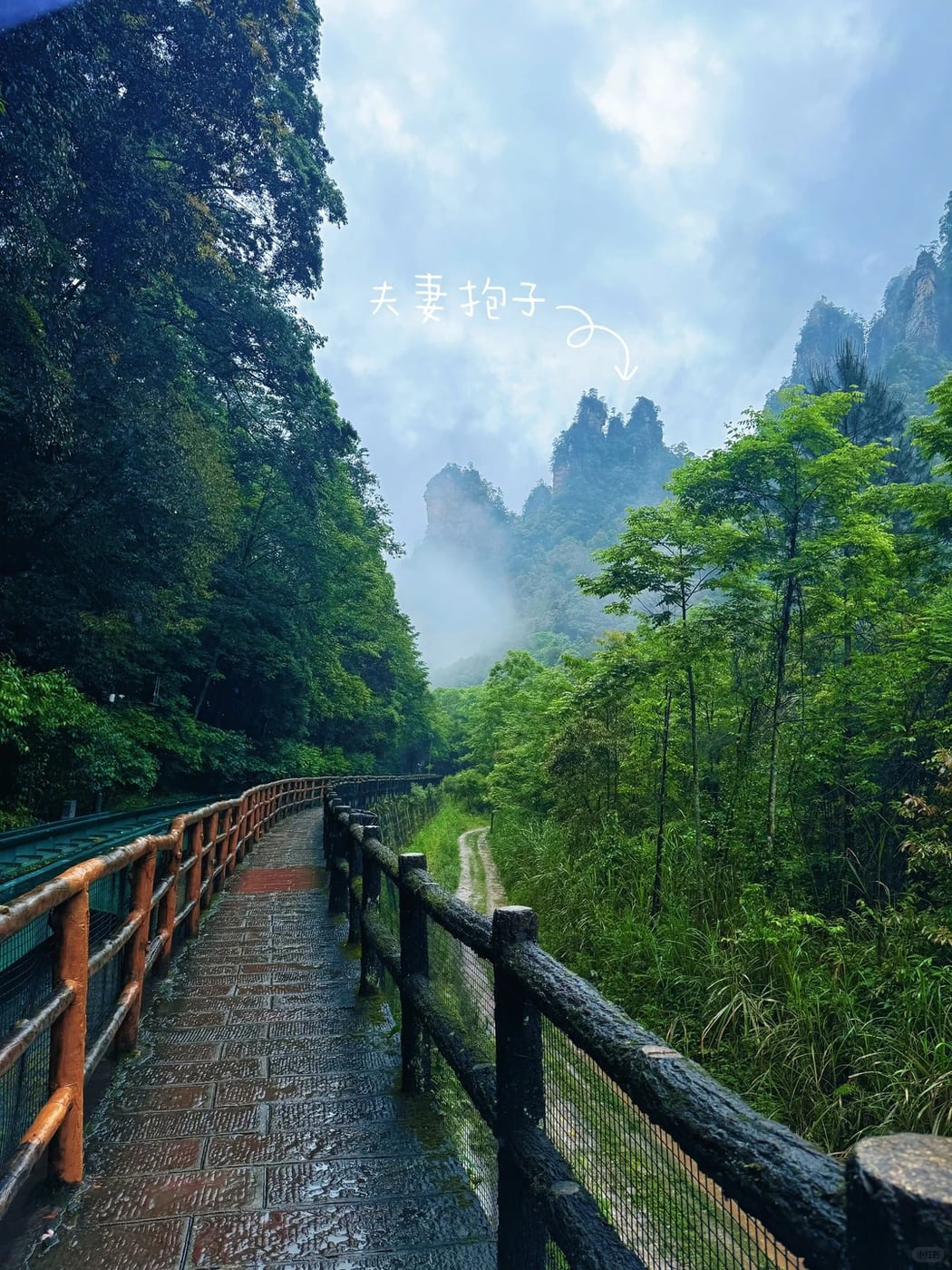 Wulingyuan pillar forest route photo