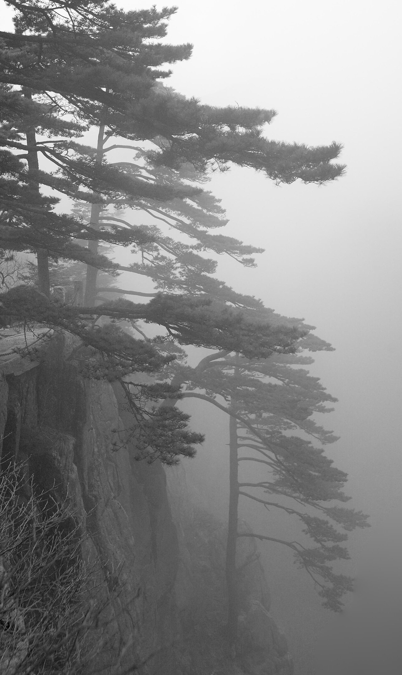 Huangshan mountain path as a walking-load proof image